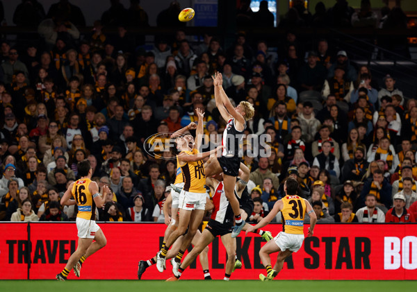 AFL 2025 Round 17 - St Kilda v Hawthorn - A-60395313
