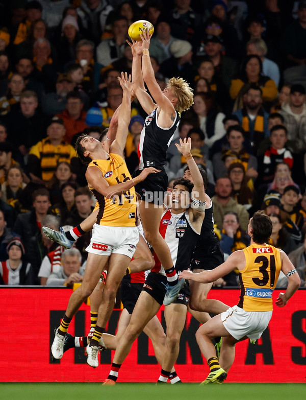 AFL 2025 Round 17 - St Kilda v Hawthorn - A-60395314