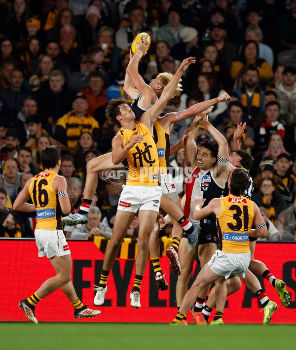 AFL 2025 Round 17 - St Kilda v Hawthorn - A-60395316