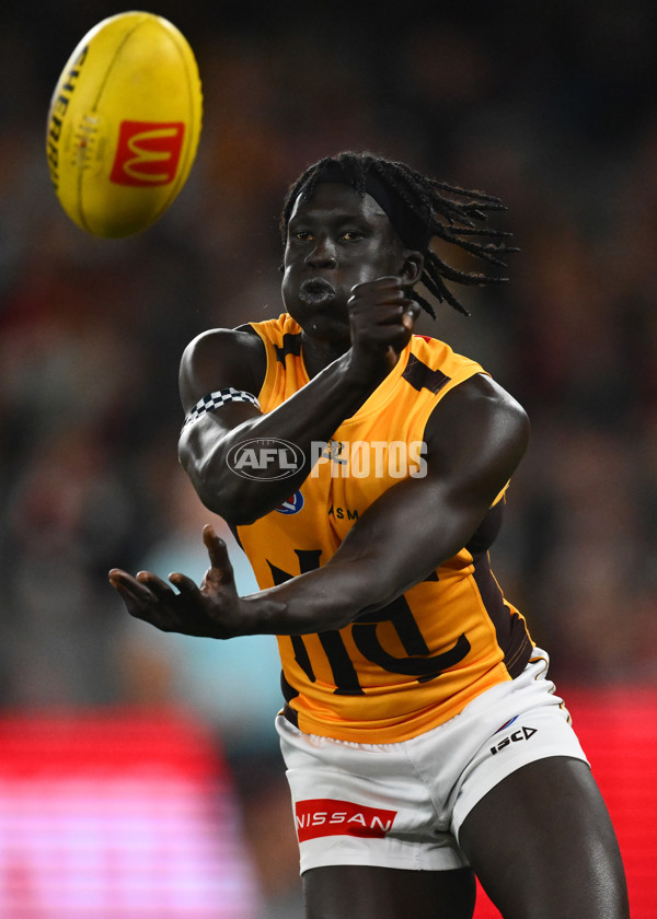 AFL 2025 Round 17 - St Kilda v Hawthorn - A-60395349