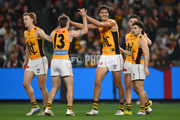 AFL 2025 Round 17 - St Kilda v Hawthorn - A-60398490