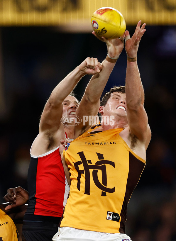 AFL 2025 Round 17 - St Kilda v Hawthorn - A-60398491