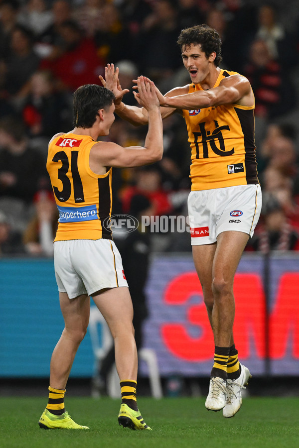 AFL 2025 Round 17 - St Kilda v Hawthorn - A-60399743