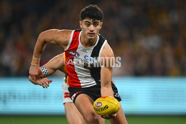 AFL 2025 Round 17 - St Kilda v Hawthorn - A-60399775