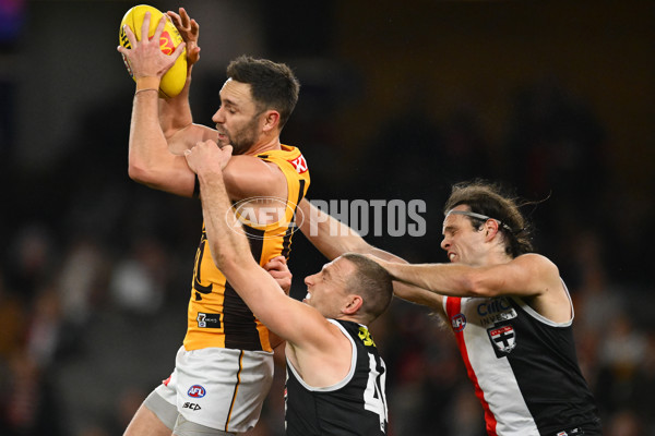 AFL 2025 Round 17 - St Kilda v Hawthorn - A-60400890