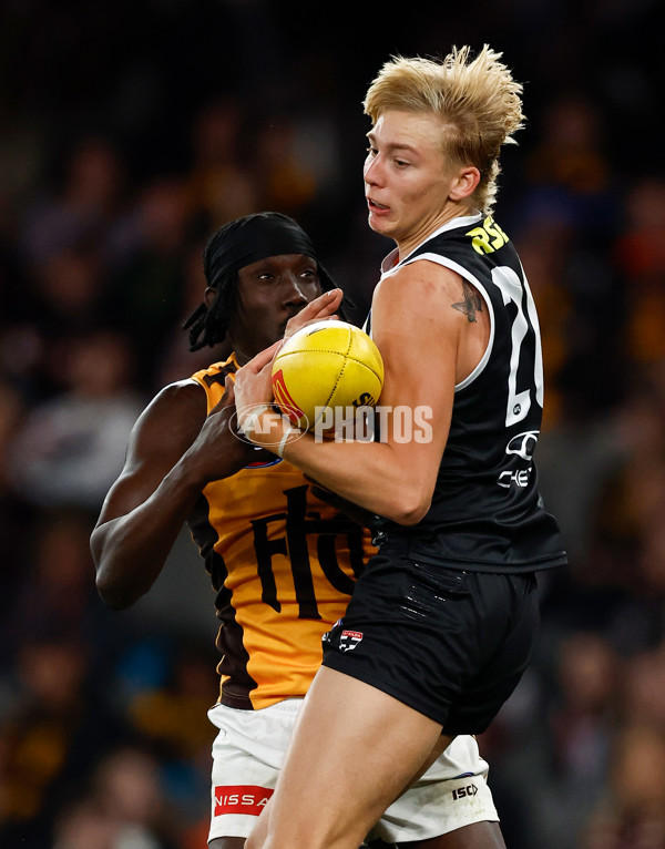AFL 2025 Round 17 - St Kilda v Hawthorn - A-60402382