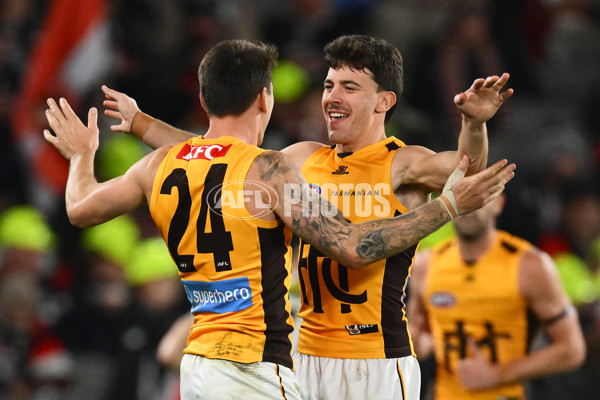 AFL 2025 Round 17 - St Kilda v Hawthorn - A-60403386