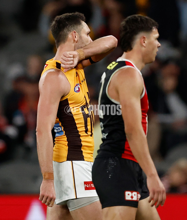 AFL 2025 Round 17 - St Kilda v Hawthorn - A-60403397