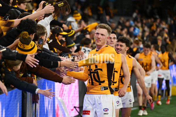 AFL 2025 Round 17 - St Kilda v Hawthorn - A-60403409