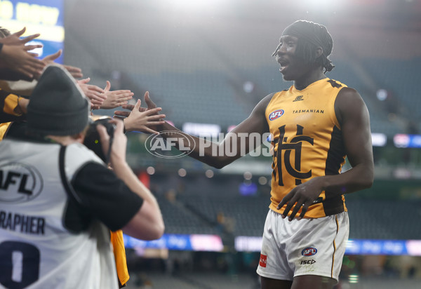 AFL 2025 Round 17 - St Kilda v Hawthorn - A-60403430