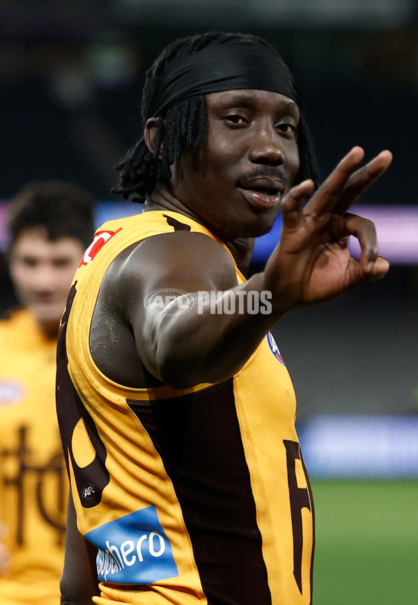 AFL 2025 Round 17 - St Kilda v Hawthorn - A-60403433