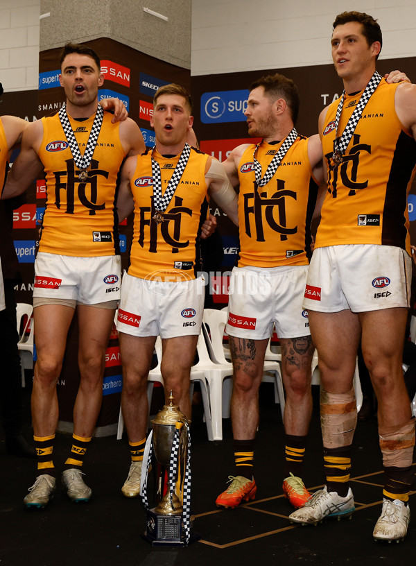 AFL 2025 Round 17 - St Kilda v Hawthorn - A-60403445