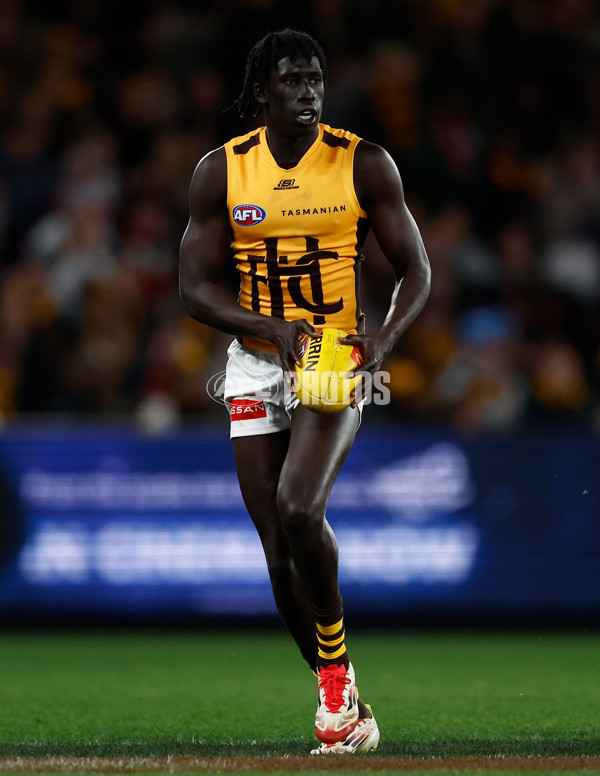 AFL 2025 Round 17 - St Kilda v Hawthorn - A-60406104