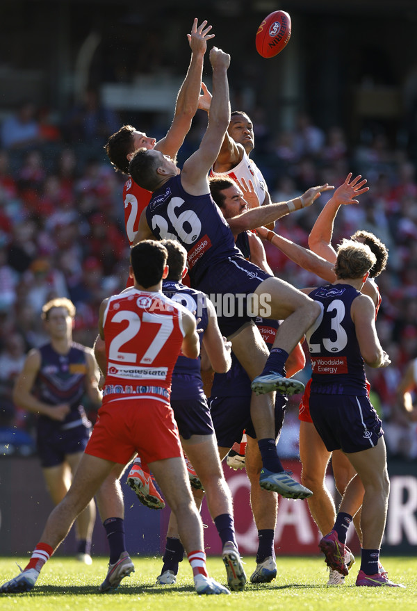 AFL 2025 Round 17 - Sydney v Fremantle - A-60412402