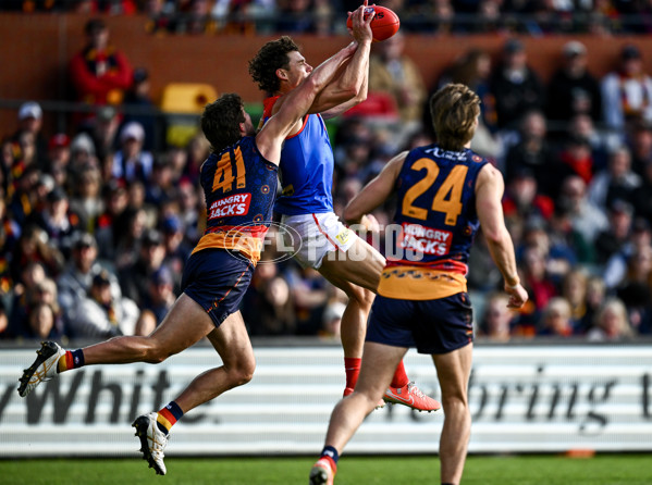 AFL 2025 Round 17 - Adelaide v Melbourne - A-60416342