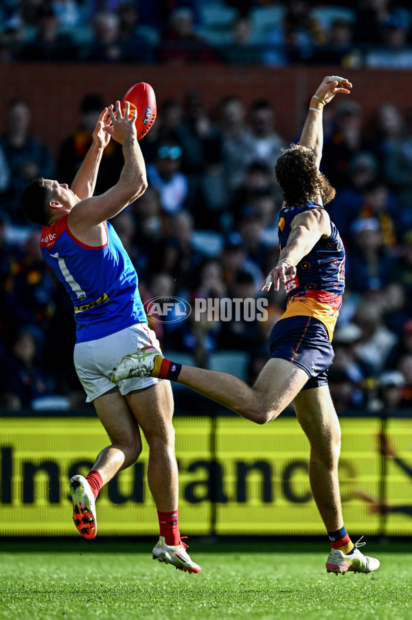 AFL 2025 Round 17 - Adelaide v Melbourne - A-60418412