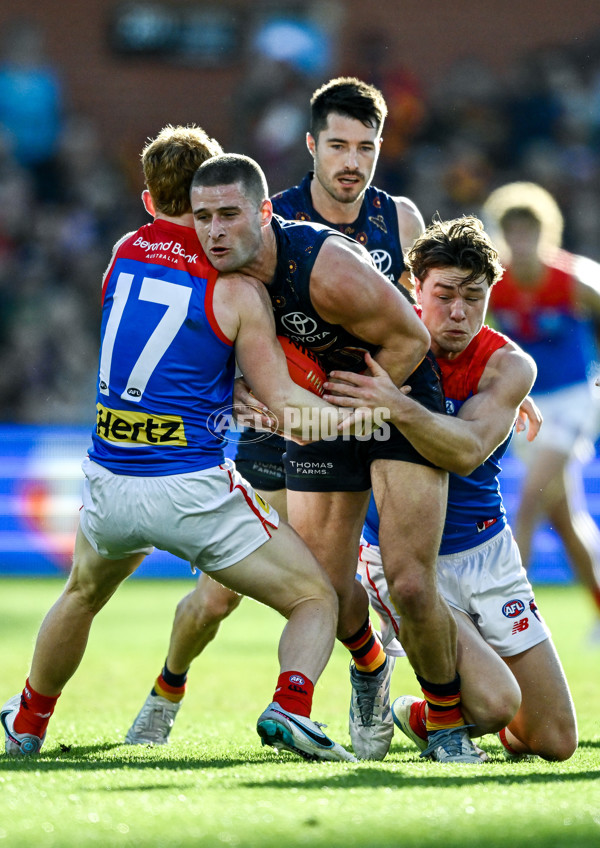 AFL 2025 Round 17 - Adelaide v Melbourne - A-60418477