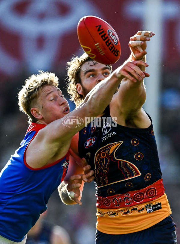 AFL 2025 Round 17 - Adelaide v Melbourne - A-60418489