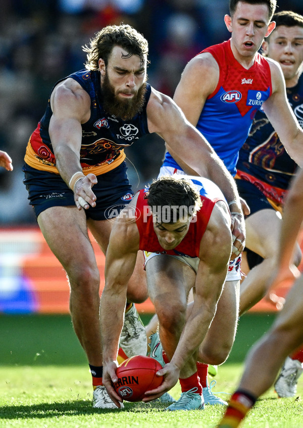 AFL 2025 Round 17 - Adelaide v Melbourne - A-60419262