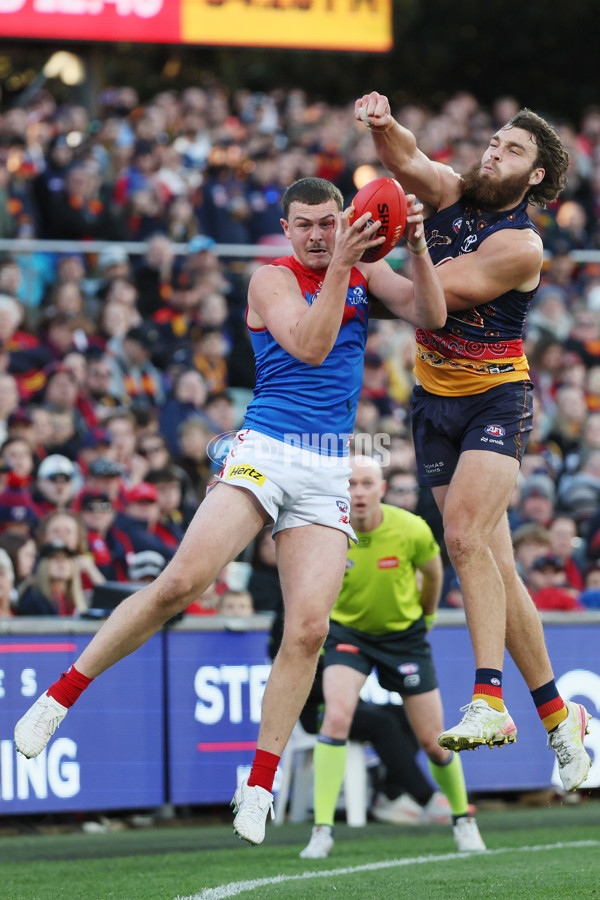 AFL 2025 Round 17 - Adelaide v Melbourne - A-60421784