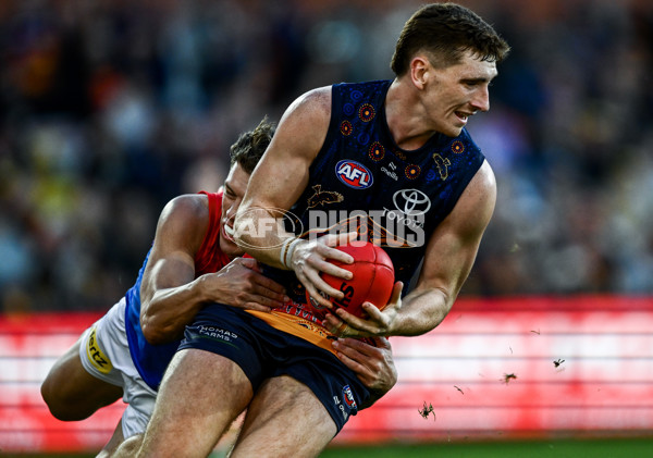 AFL 2025 Round 17 - Adelaide v Melbourne - A-60421794