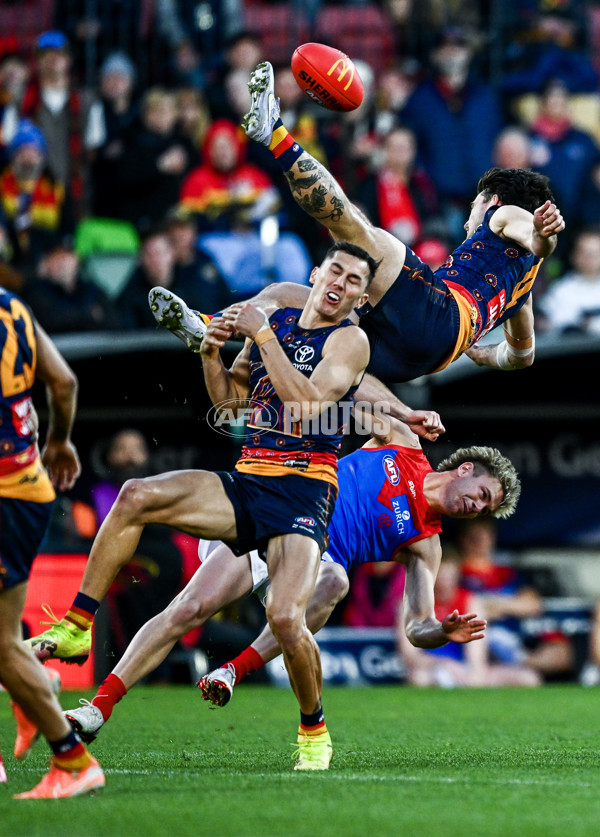 AFL 2025 Round 17 - Adelaide v Melbourne - A-60421815