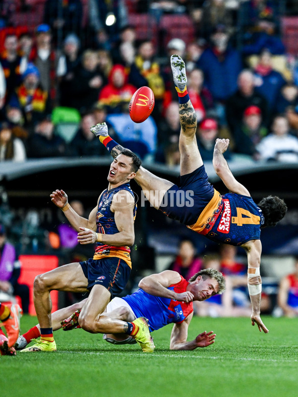 AFL 2025 Round 17 - Adelaide v Melbourne - A-60421817