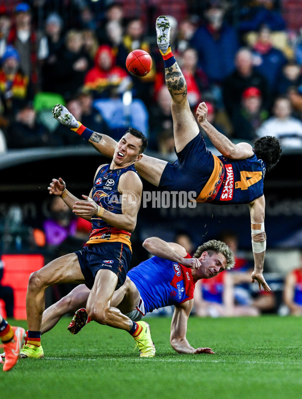 AFL 2025 Round 17 - Adelaide v Melbourne - A-60421820