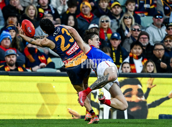 AFL 2025 Round 17 - Adelaide v Melbourne - A-60424160