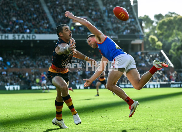 AFL 2025 Round 17 - Adelaide v Melbourne - A-60424174