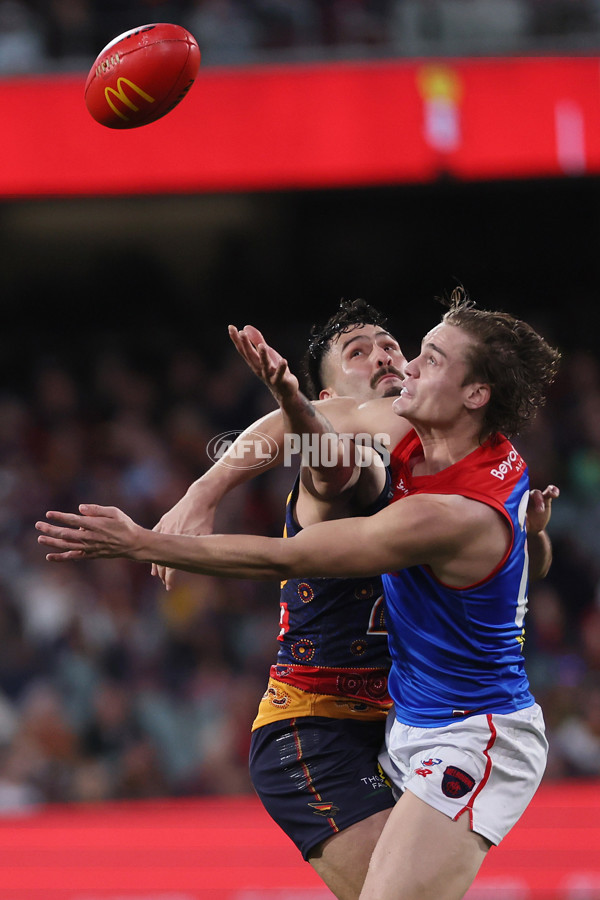 AFL 2025 Round 17 - Adelaide v Melbourne - A-60424912