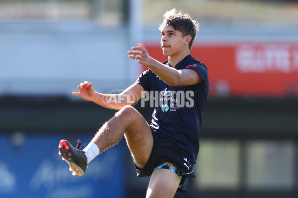 AFL 2025 Training - Carlton 090725 - A-60438649