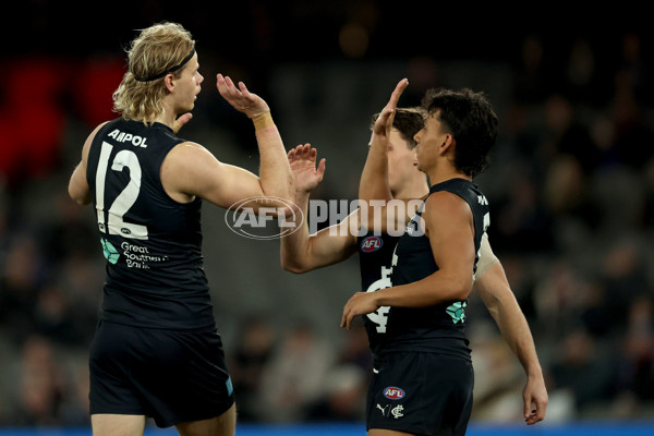 AFL 2025 Round 18 - Carlton v Brisbane - A-60456860