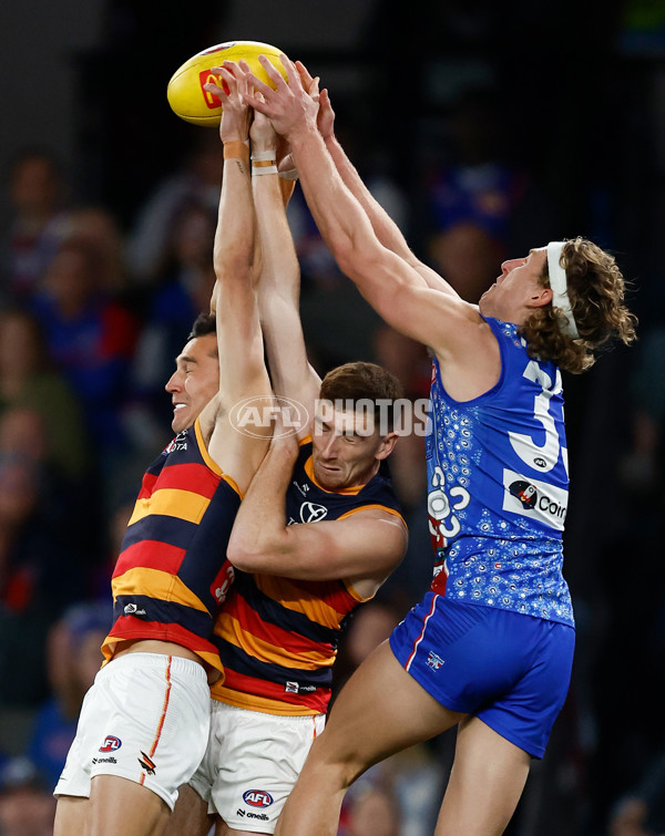 AFL 2025 Round 18 - Western Bulldogs v Adelaide - A-60479658