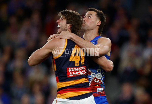 AFL 2025 Round 18 - Western Bulldogs v Adelaide - A-60479661