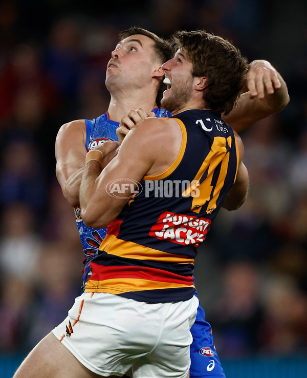 AFL 2025 Round 18 - Western Bulldogs v Adelaide - A-60479663