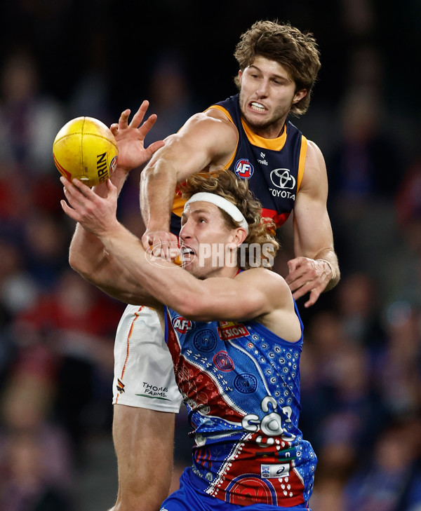 AFL 2025 Round 18 - Western Bulldogs v Adelaide - A-60479685