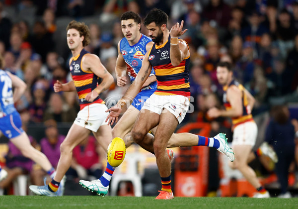 AFL 2025 Round 18 - Western Bulldogs v Adelaide - A-60479701