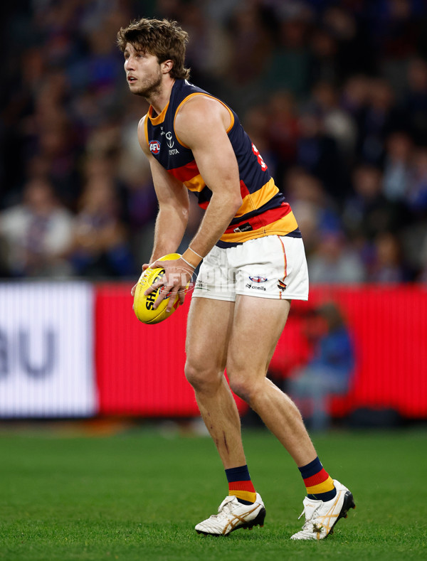 AFL 2025 Round 18 - Western Bulldogs v Adelaide - A-60479702