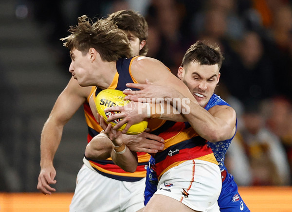 AFL 2025 Round 18 - Western Bulldogs v Adelaide - A-60480532