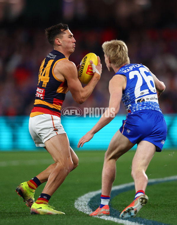 AFL 2025 Round 18 - Western Bulldogs v Adelaide - A-60480538