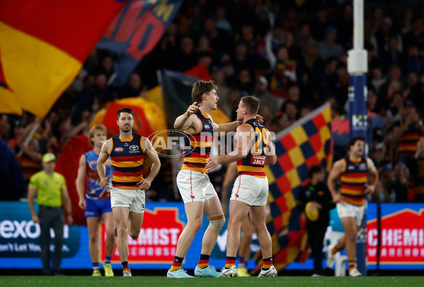AFL 2025 Round 18 - Western Bulldogs v Adelaide - A-60480545