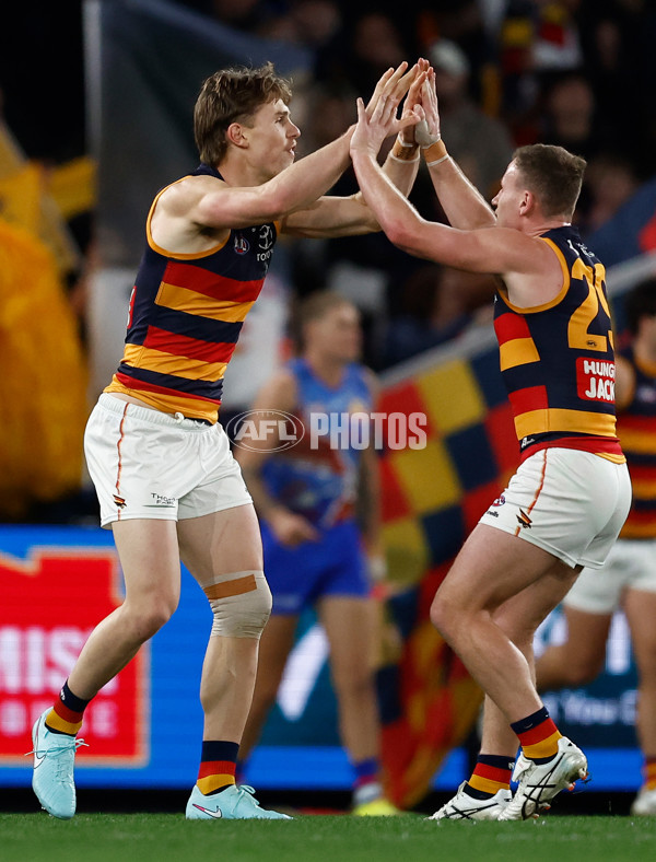 AFL 2025 Round 18 - Western Bulldogs v Adelaide - A-60480546