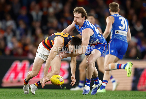 AFL 2025 Round 18 - Western Bulldogs v Adelaide - A-60480556