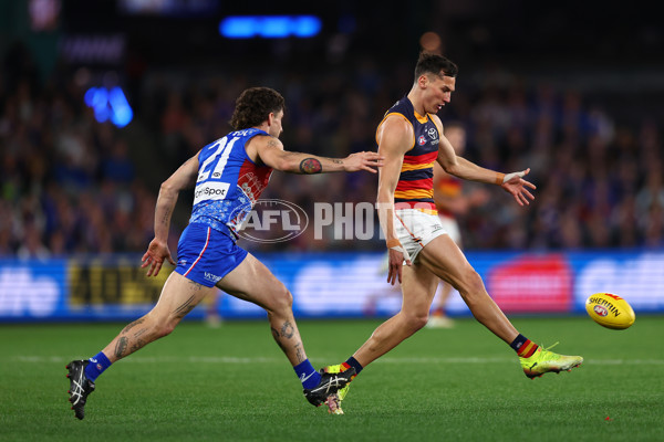 AFL 2025 Round 18 - Western Bulldogs v Adelaide - A-60480564