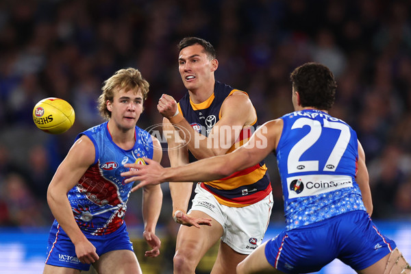 AFL 2025 Round 18 - Western Bulldogs v Adelaide - A-60480566