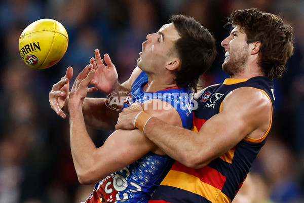 AFL 2025 Round 18 - Western Bulldogs v Adelaide - A-60481846