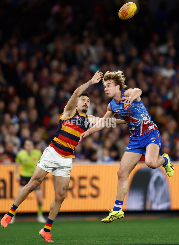 AFL 2025 Round 18 - Western Bulldogs v Adelaide - A-60481908
