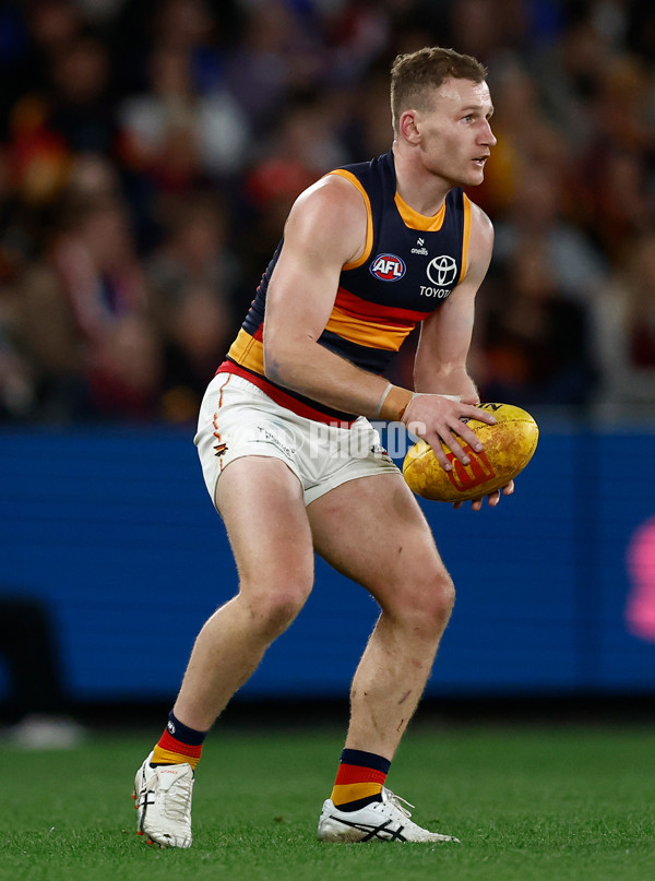 AFL 2025 Round 18 - Western Bulldogs v Adelaide - A-60481917