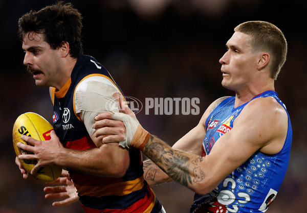 AFL 2025 Round 18 - Western Bulldogs v Adelaide - A-60481920